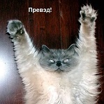 Аватара пользователя