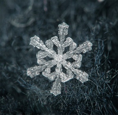 0_3f51_ed38f993_L.jpg