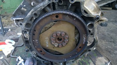 WP_20180506_001.jpg