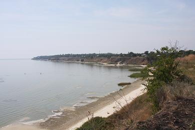 IMG_8293.JPG