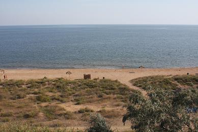 IMG_8330ф.JPG