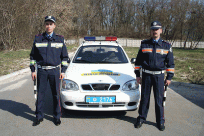 169032_image_large.gif