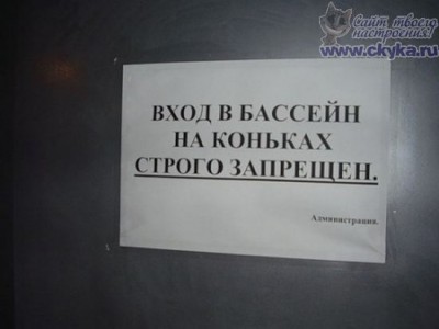 1251100886_kartinki_00011.jpg