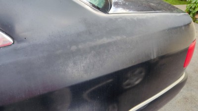 IMG_20220611_065004_1.jpg