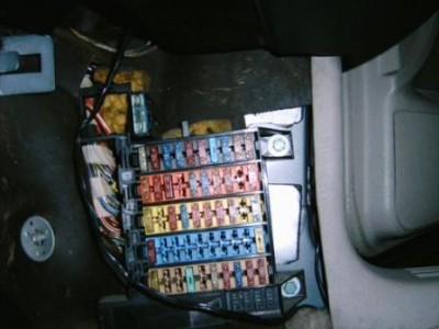 IMG00355.JPG