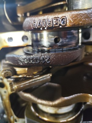 1716826730526.jpg