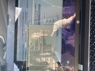 IMG_4013.jpeg