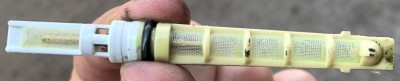 IMG_4357.jpeg