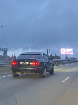 WhatsApp Image 2024-07-19 at 08.24.53.jpeg