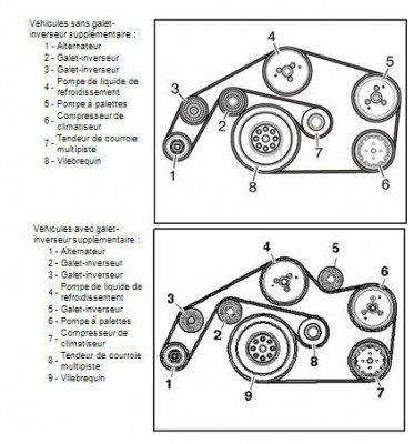 243186Courroie.jpg.0e6870ad36ba57c7ed79ee66296c15ee.jpg