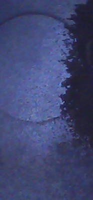 Photo_3.jpg