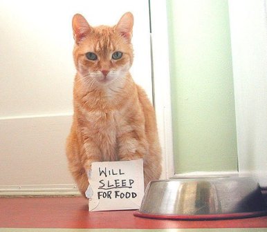 will_sleep_for_food.jpg