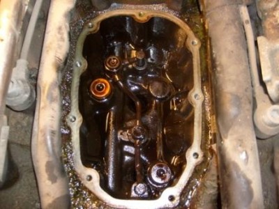 S6308500.JPG