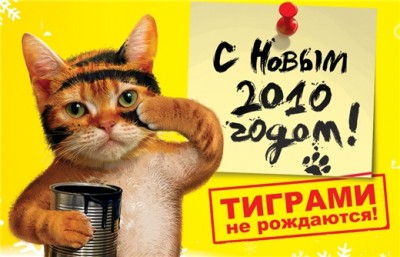 котяра.jpg