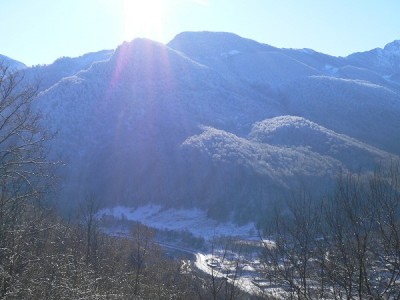 P1060154.JPG