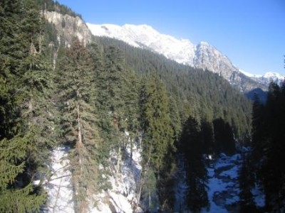 IMG_6238.JPG