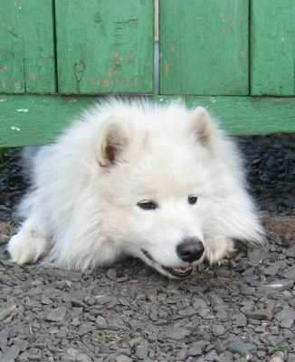 Луксор