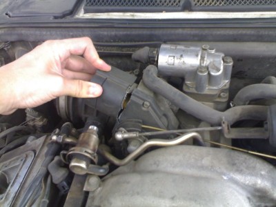28072008077.jpg