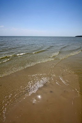 IMG_2946.jpg