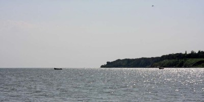 IMG_3442.jpg