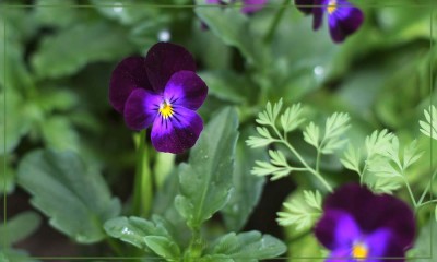 IMG_3862.jpg