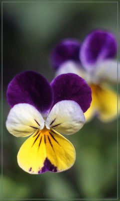 IMG_3889.jpg