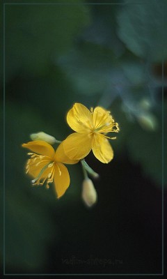 IMG_3900.jpg