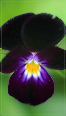 IMG_3970мм.jpg
