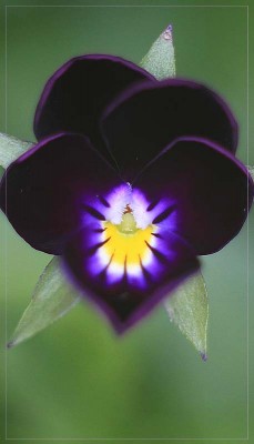 IMG_3987мм.jpg
