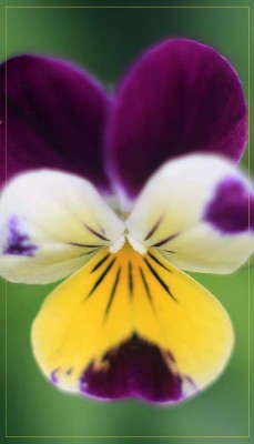 IMG_3992мм.jpg