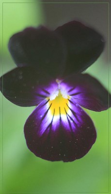 IMG_4005м.jpg