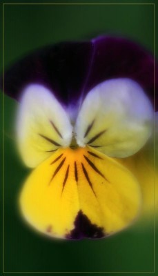 IMG_4031м.jpg