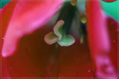 IMG_4254м.jpg