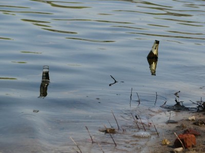 Рыбы на Борисовских прудах