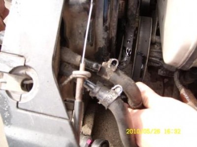 SL732764.JPG