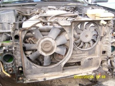 SL732768.JPG