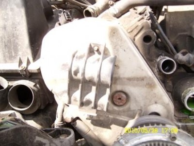 SL732775.JPG