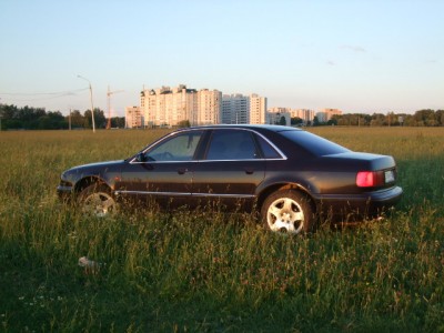 DSCF5161.JPG