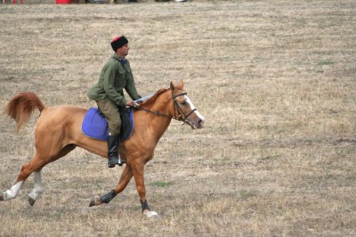 красибо идет. хоть и не попрешь на танк..