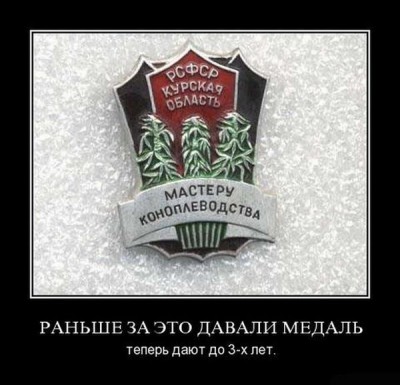 Курская медль