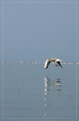 IMG_5353.JPG