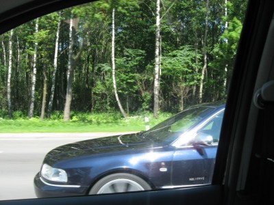 IMG_8561.jpg