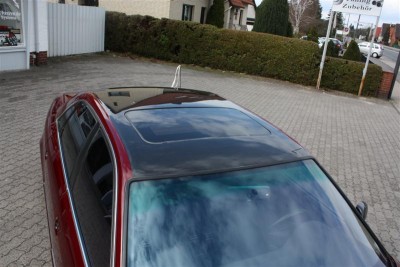 IMG_0608 _Medium_.jpg