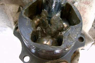 SV300508.JPG