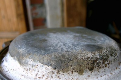SV300517.JPG