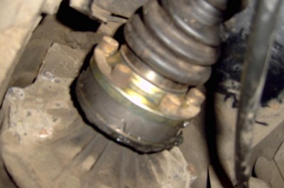 SV300538.JPG