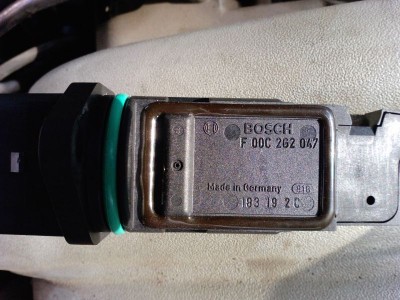 P111.jpg