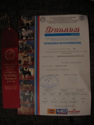 Выставка 003.jpg