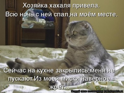 image002.jpg
