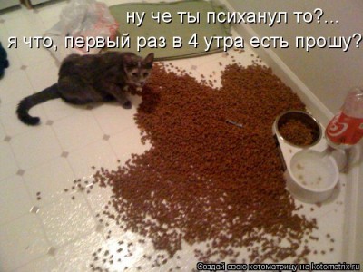 image003.jpg